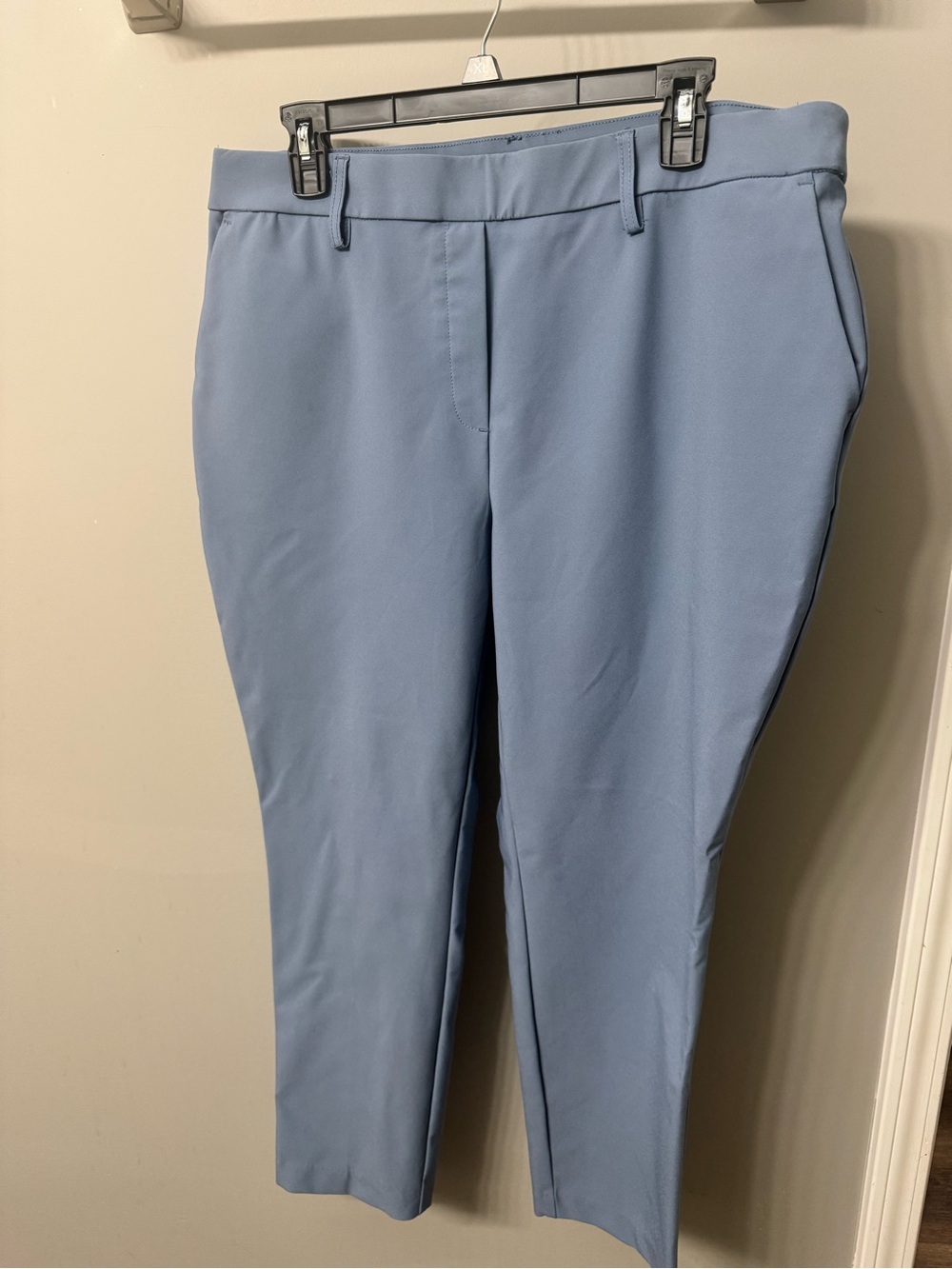 Slim Cropped Ankle Pants in Light Blue